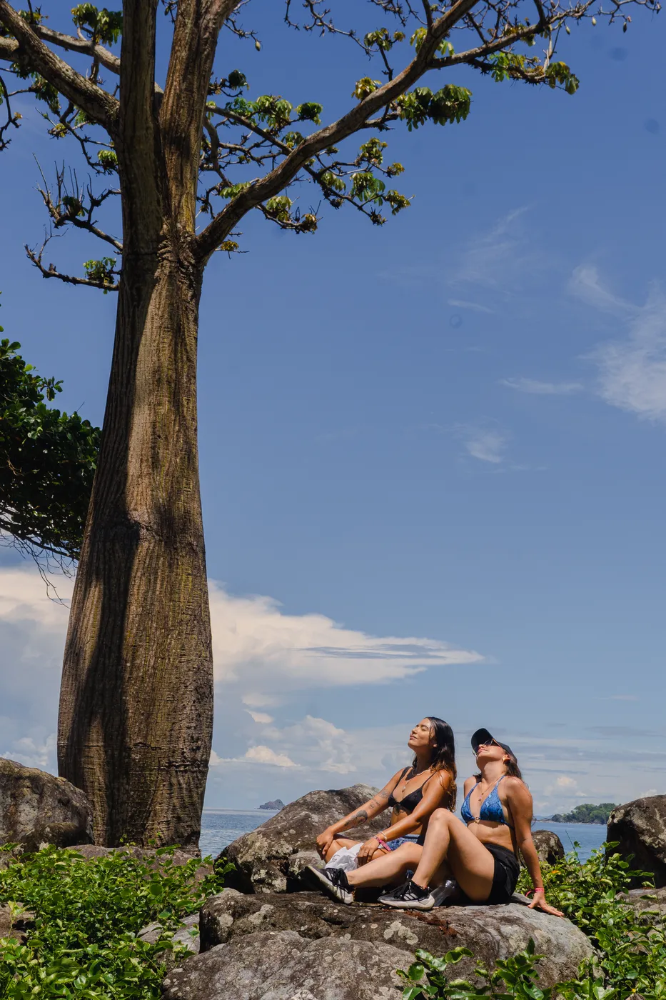 chicas en bikini arbol melo hostel capurgana res