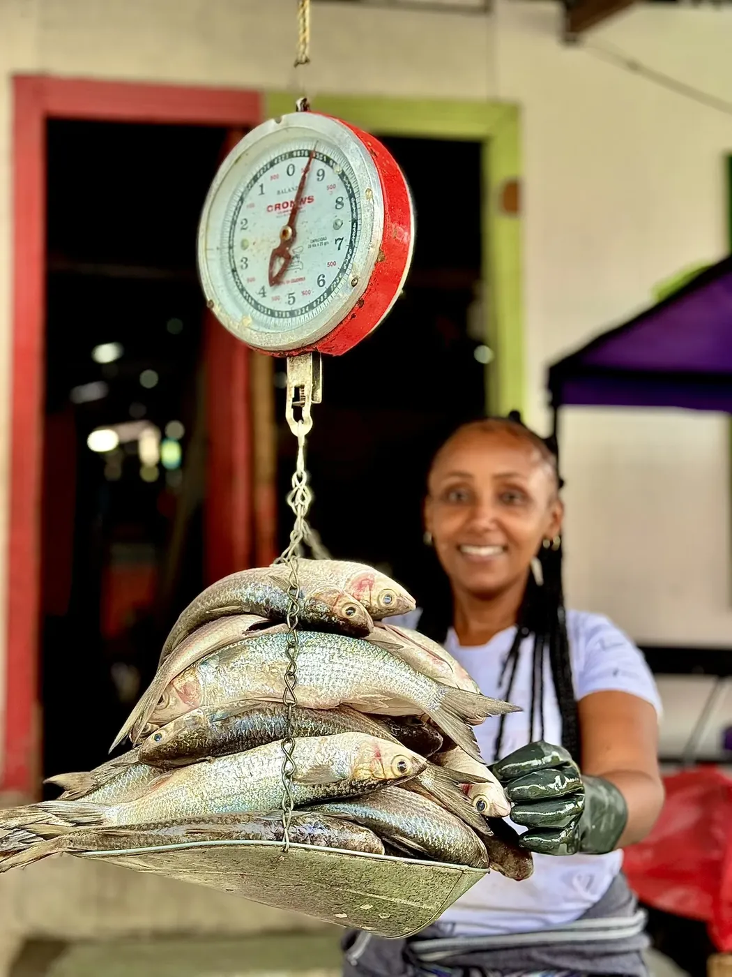 compra de pescado colombia melo hostel res