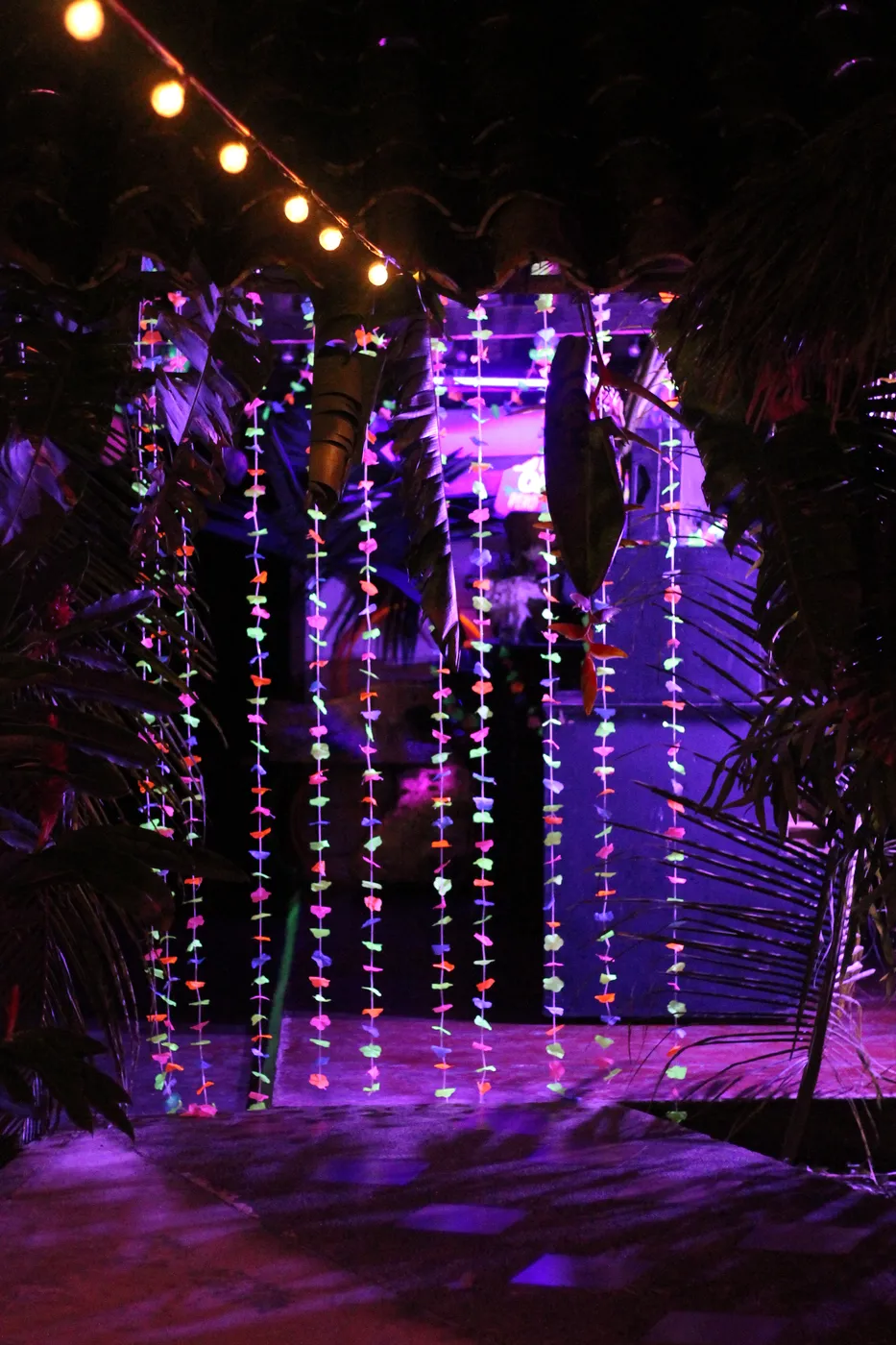 luces led fiesta melo hostel capurgana res